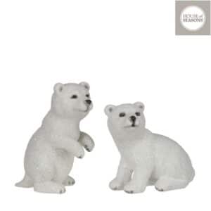 Isbjørn - Siddende isbjørn