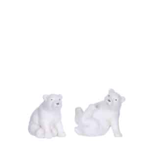 Isbjørne - Isbjørn med benene op ad