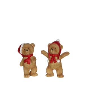 Lysebrun Bjørn - Med arme slået ud