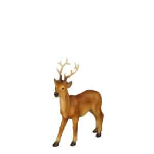 Rådyr med gevir 16 cm højt